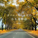 愛される街の秘密②　住民一人ひとりが「物語の主人公」。