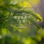 地域資源を物語にする方法｜ありふれたものを「宝物」に変える